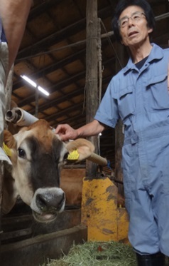 �W���[�W�[