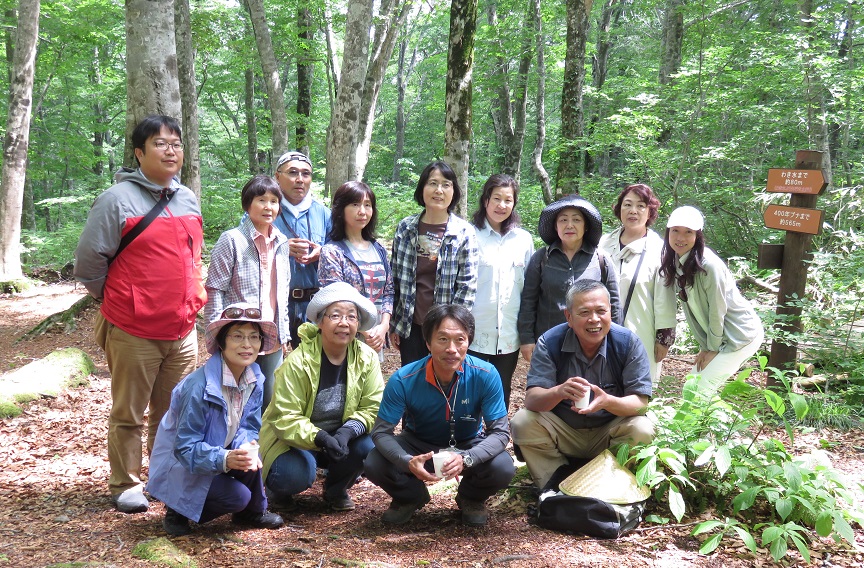 �H�c�E�劃�Y�n���C���201507