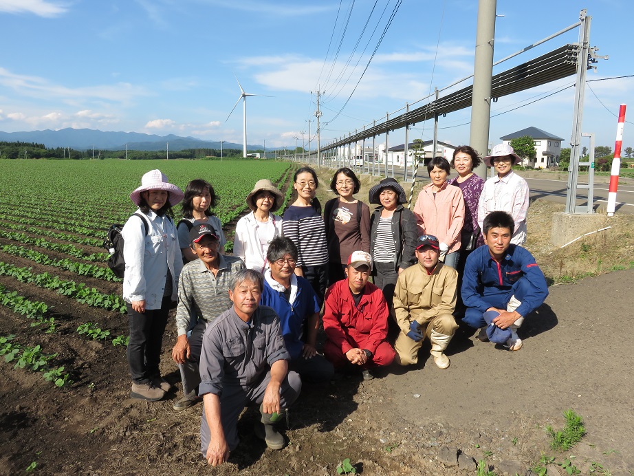 ���}�L�哤