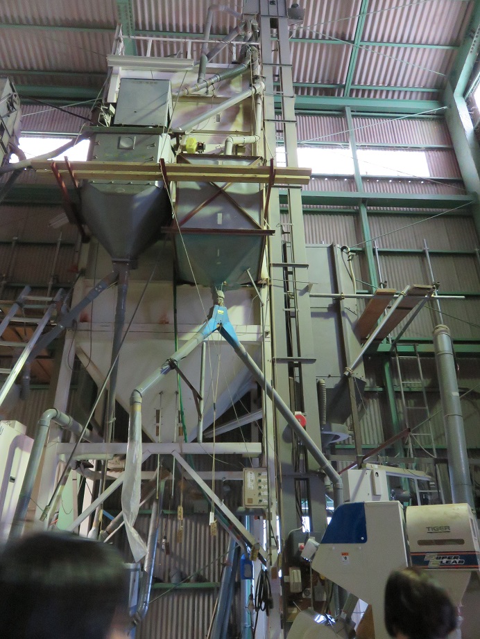 �����_��