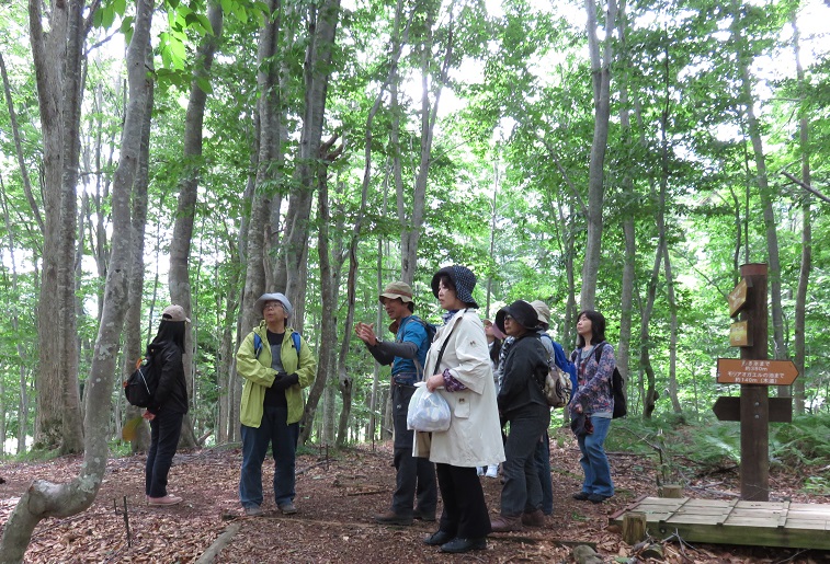 ���_�R�n�Q