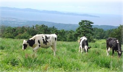 ��R�܂���