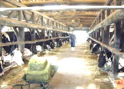 �R���q��3