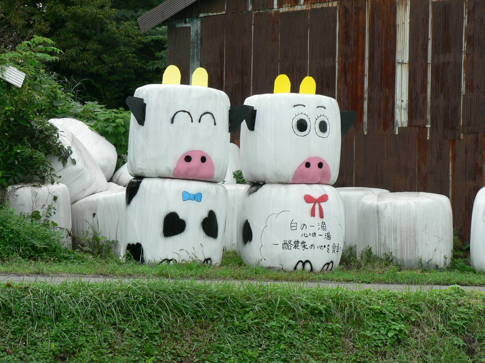 �R���q��