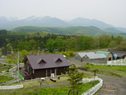 �m���z�������̒�����_�k�C�����i