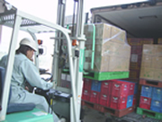 �m���z�������̒�����_�t�F���[