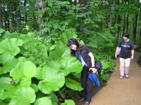 �\����N�̐X