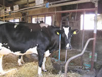 ���_�ƌ��w