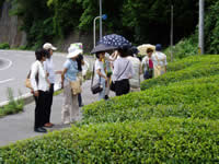 ���쒬���Y�Ҍ��w��_����