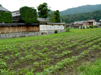 ���쒬���Y�Ҍ��w��_�哤��