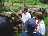 ���쒬���Y�Ҍ��w��_��������