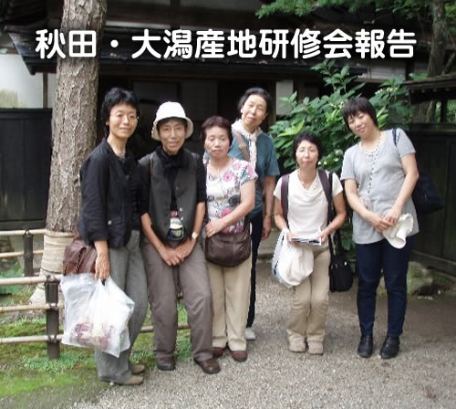 �H�c�E�劃�Y�n���C���