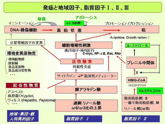 �u�����m�[���_�����獂���|���m�����_���ցv�\4