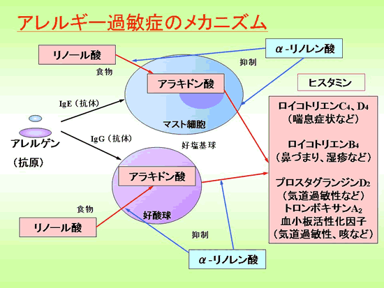 �u�����m�[���_�����獂���|���m�����_���ցv�\5