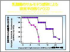 乳酸菌のサルモネラ感染による致死率改善/表