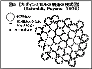 �K�[�C���~�Z���̍d���}