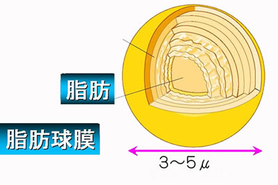 ���b����